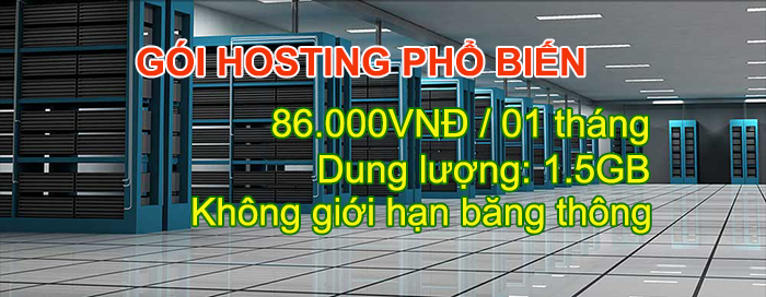 cho thue web hosting hai phong
