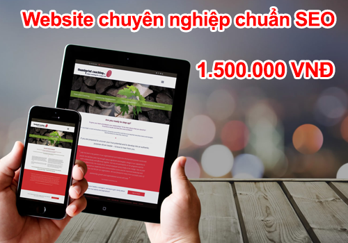 Thiết kế website chuẩn seo giá 1,5 triệu tại Hải Phòng