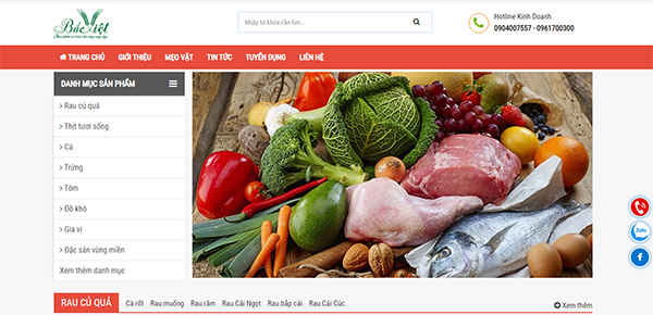 Thiết kế website nông sản Bắc Việt Hải Phòng